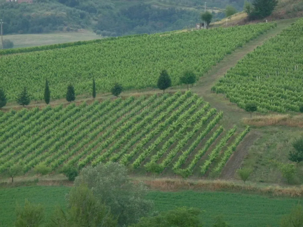 Azienda Agricola Ed Agrituristica Cafaggio Vila San Miniato Alojamento de Turismo Rural